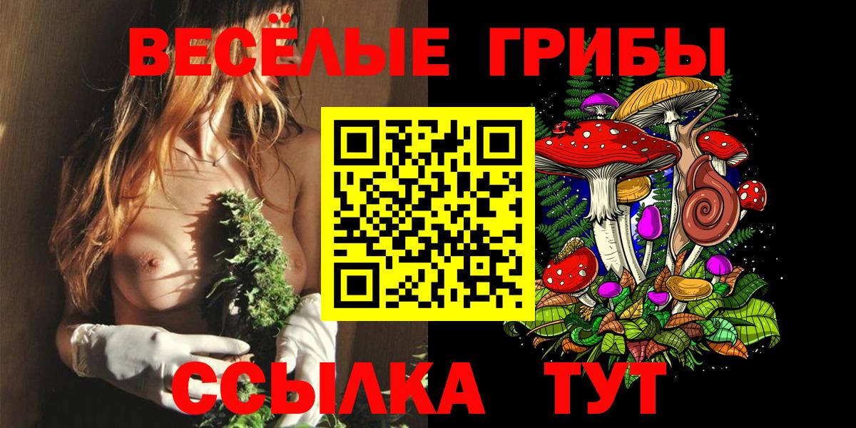 Псилоцибиновые грибы Psilocybine cubensis Псков