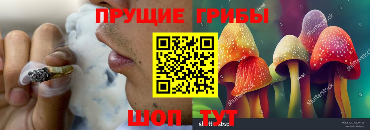Псилоцибиновые грибы Cubensis  Вход с VPN  Псков  Псилоцибиновые грибы мухоморы 